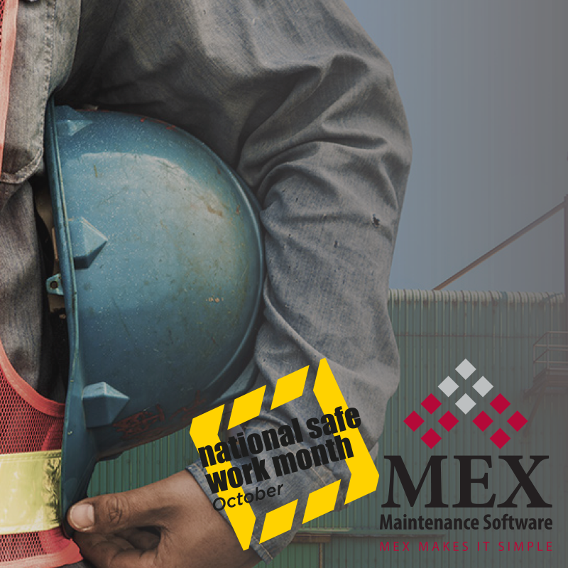 Workplace Health and Safety and MEX