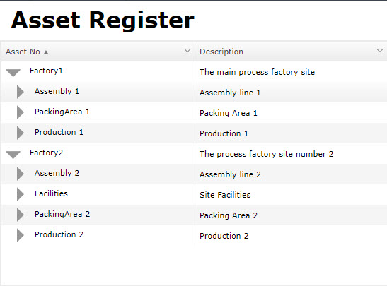 Unregionalised Asset Register