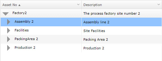 Regionalised Asset Register site 2