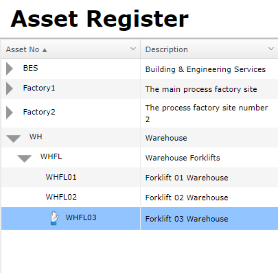 Asset Register Showing Stand Down Asset