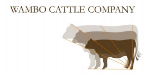 Wambo Cattle Co