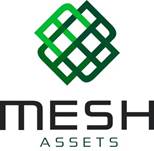 Mesh Assets