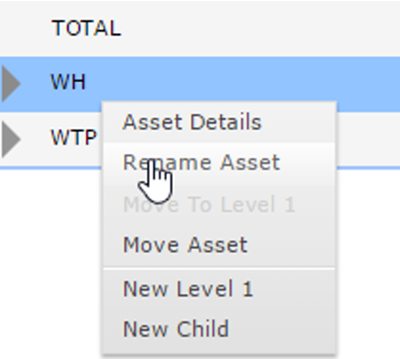 RMC Rename Asset