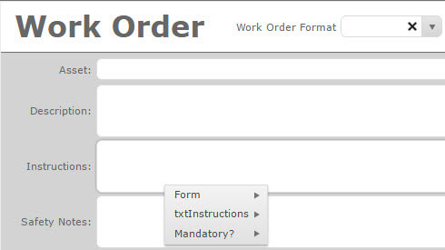 Security Form OPtions