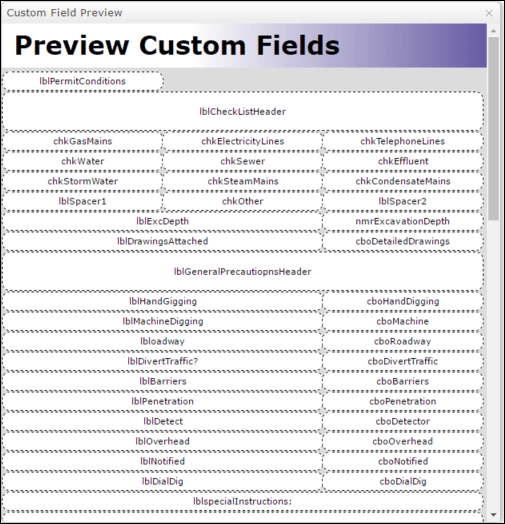 Preview custom field