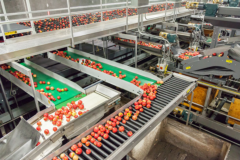 Food Processing Industry